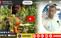 "Moussa 'Diare na founé" : Itinéraire d'un expatrié français devenu agriculteur