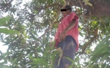 Séries de drames : Un homme retrouvé mort pendu à Louga, à Tamba un chauffeur mort carbonisé