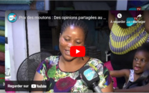 Prix des moutons : Des opinions partagées au marché Mame Abdoul Aziz Dabakh