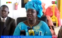 Un plan de relance de "Sénégal Airlines" annoncé par le ministre