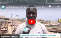 Après la Tabaski, Yoff fait face à une pénurie de poissons : Les pêcheurs réagissent