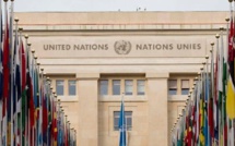 Un stagiaire de l'ONU  diplomé en sciences politiques et sdf