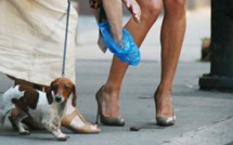 Des tests ADN contre les crottes de chien en rue