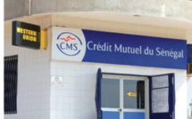 Parfum de scandale au Crédit mutuel du Sénégal : Ces cafards qui ressortent des investigations de nos confrères