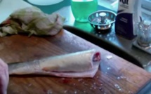 Un poisson mort... bien agité !