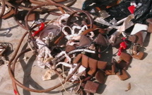 Arabie Saoudite: La pèlerine sénégalaise aux gris-gris libérée 