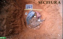 Ferme de Déli au Tchad : Des restes humains découverts dans des latrines, selon l’experte Claudia Bisso
