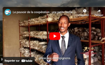 Le pouvoir de la coopération : une petite herbe pour une grande avancée