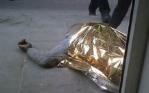 Etats-Unis : Encore un Sénégalais assassiné 