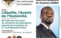 Économie verte : Le Congrès International de l’Apiculture en Casamance, s’ouvre ce vendredi, à Ziguinchor