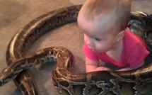 Un bébé mord un serpent et le tue