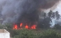 Urgence signalée - Alerte danger : Un important feu de brousse fait des ravages derrière la Cité Fadia Guentaba
