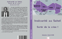 « Insécurité au Sahel:  Sortir de la crise » : En synthèse, un aperçu des grandes lignes de l’ouvrage de Mamadou Mouth Bane 