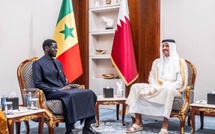 Hommage à Dr. Mouhamed Habibou Diallo : L’un des plus agiles ambassadeurs au Qatar –Par Djily Mbaye Fall / Chercheur