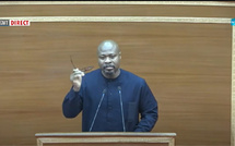 Assemblée nationale / Mohamed Guy Marius Sagna : "Les voleurs n'ont aucune leçon à nous donner"