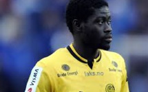 Ce Lion est aussi un crack