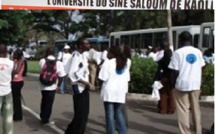 L’Université du Sine Saloum de Kaolack affûte ses armes : 25 familles de métiers identifiées pour les futurs étudiants