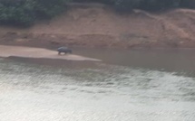 Tambacounda : Un hippopotame tueur sème la terreur à Gouloumbou