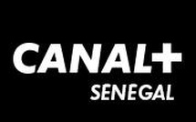 Changement d'adresse: CANAL+ Sénégal déménage vers l’Immeuble Elite Mustapha, boulevard Aliou Ardo Sow