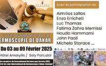 La dermoscopie à l'honneur au Sénégal – Une formation scientifique de haut niveau à Saly