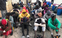 ADHA aux autorités : Appel à une action urgente pour le rapatriement des migrants sénégalais bloqués au Niger et en Algérie