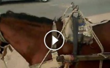Ce que cet homme fait avec son cheval est extraordinaire. Regardez !