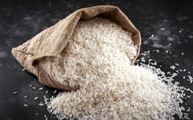 Prix du riz brisé : Une baisse significative annoncée pour le 3 avril