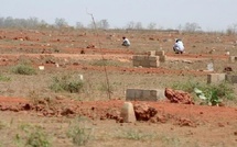 « Toute la vérité sur le décret n°2024-3425 du 13 décembre 2024, concernant l’immatriculation d’une parcelle du Domaine national à Kandiou, Commune de Niakhar