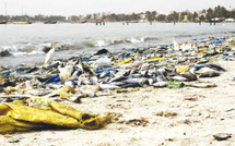 Protection du littoral :  La Mairie de Yoff porte plainte contre les pollueurs
