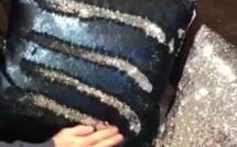 Les gens sont obsédés par ce coussin qui change quand on passe la main dessus