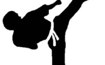 La Fédération sénégalaise de Taekwondo renouvelle son comité directeur samedi prochain