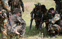 Plus de détails sur l'exercice militaire « African Lion 2025 » : le Sénégal au centre d’une coopération sécuritaire internationale