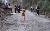 Ce chien a accidentellement couru un semi-marathon et s’est classé septième