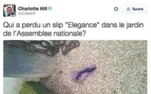 Qui a perdu son slip à l’Assemblée nationale ?