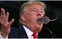 Des Belges en colère envoient des rats à Donald Trump