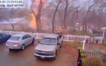 Un arbre tranché en deux sous l'impact de la foudre