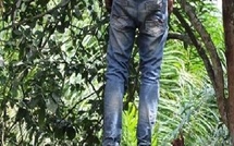 Drame à la forêt classée de Keur Massar : Cheikh Sow, jeune homme de 20 ans, retrouvé pendu