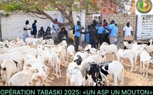 Solidarité à l’honneur : L’ASP lance l’opération « Un ASP, un mouton » pour la Tabaski 2025