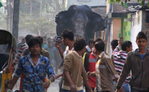 Un éléphant sauvage s’est aventuré dans une petite ville d’Inde et a tout saccagé