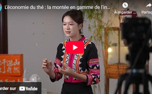 L'économie du thé : La montée en gamme de l'industrie du thé Pu'er