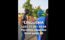 LINGUÉMA ET PAPE SIDY FALL OFFRENT UNE VOITURE À UN PASSANT : UN PRANK SOCIAL QUI CHANGE UNE VIE