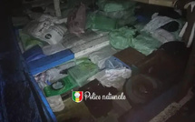Saisie de 22 tonnes de poulet de contrebande au large de Joal