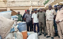 Photos / Lutte contre le faux-monnayage et le trafic illicite: Des billets noirs d’une contrevaleur de près de 1 milliard 123 millions en francs Cfa saisis à Ziguinchor