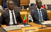 Photos / Conseil de l’Organisation mondiale des Douanes (OMD) 2025 : Babacar Mbaye, DG des Douanes plaide pour des pratiques douanières respectueuses de l’environnement