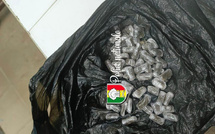 Ziguinchor : 50 boulettes d’haschich saisies sur un passager venu de Guinée-Bissau