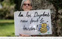 France: la pétition contre la loi Duplomb accentue la pression sur le gouvernement