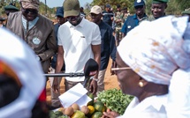 Mbao : Diomaye Faye donne le coup d’envoi de la caravane de reboisement pour un million d’arbres en 48h