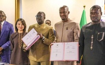Diass : La SICAP et l’APIX signent pour 66 hectares dans la ZESID, pour relancer la production à Diass