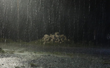 De fortes pluies annoncées : des inondations possibles, la directrice de la météo appelle à la prudence
