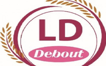 Situation nationale : LD Debout interpelle le Gouvernement sur l’économie, les inondations et la justice